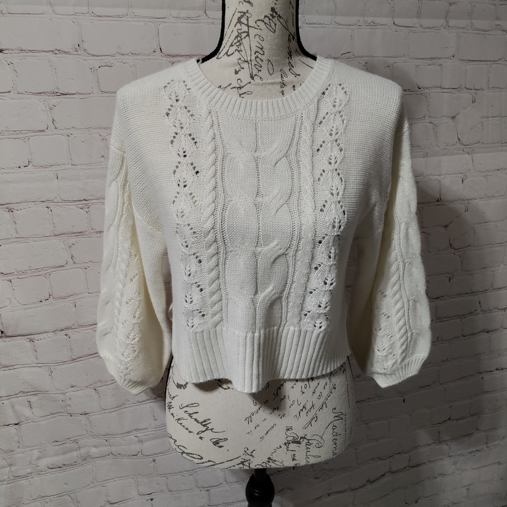 NWOT XS Vylette Cropped Sweater.  546